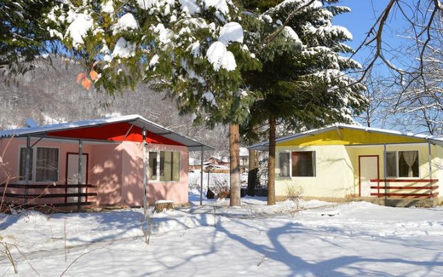 Вилно Селище Черни ОСъм