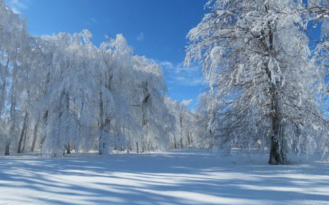 комплекс Боженците Релакс